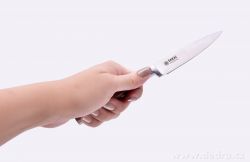 SAKAI professional CULINAIRE víceúčelový nůž