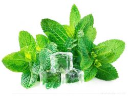 PARFUM ESSENCE parfémová esence 100ml fresh mint