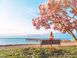 Bublino MAGNOLIA, tekuté mýdlo na tělo a ruce, s pumpičkou, 500ml Vaše Dedra