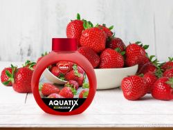 EKO koncentrát AQUATIX® na ruční mytí nádobí 500ml lesní jahody, bez pumpičky